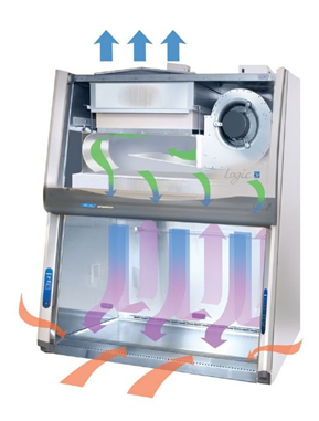 Diagram depicting the air flow of a biological safety cabinet.