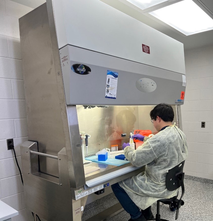 A person working at a biological safety cabinet in a lab.