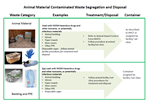 Image of the Animal Waste poster.