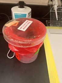 Laboratory plastic beaker with Large Petri dish used as a lid