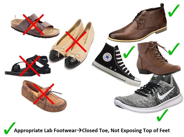 examples of appropriate lab footwear - closed toe, not exposing top of feet