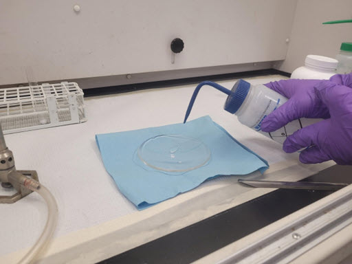 Watch glass with a small amount of unknown white solid material in middle.  Lab personnel in purple nitrile gloves are adding one drop of deionized water to the side of the watch glass.