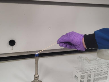 Picture depicting lab personnel in purple nitrile gloves holding a cotton swab over a Bunsen burner. No flame other than that of the Bunsen burner is visible, indicating a negative flammability test.